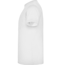 Camiseta manga corta TECKEL Blanca