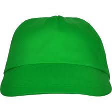 Gorra BASICA 5 paneles